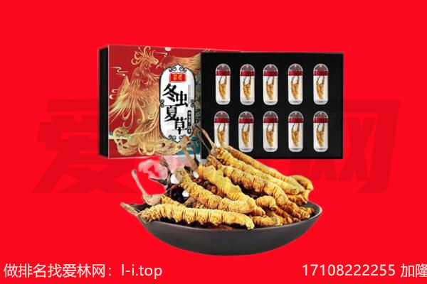 昌都市江达回收虫草.jpg